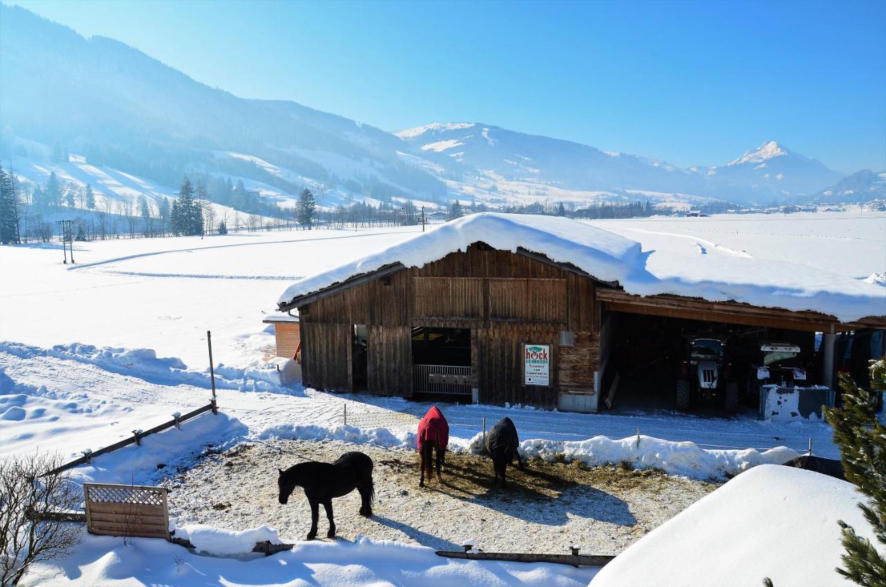 Kleintoedlinggut Villa Leogang Exterior photo