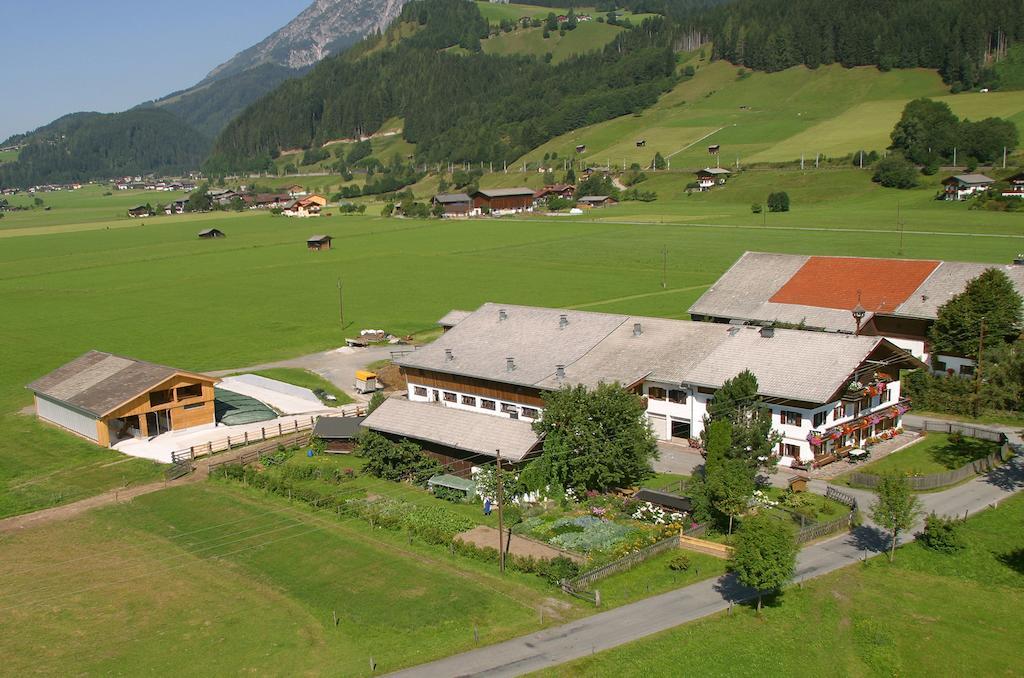 Kleintoedlinggut Villa Leogang Exterior photo
